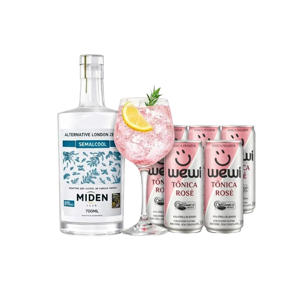 kit drink sem alcool estilo gin tonica rose garrafa e latas