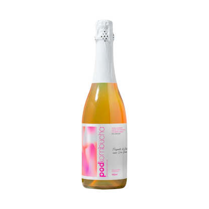 espumante kombucha sem alcool sabor uva da pod